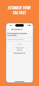 Irish Tax Calculator Ireland screenshot