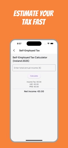 Irish Tax Calculator Ireland screenshot