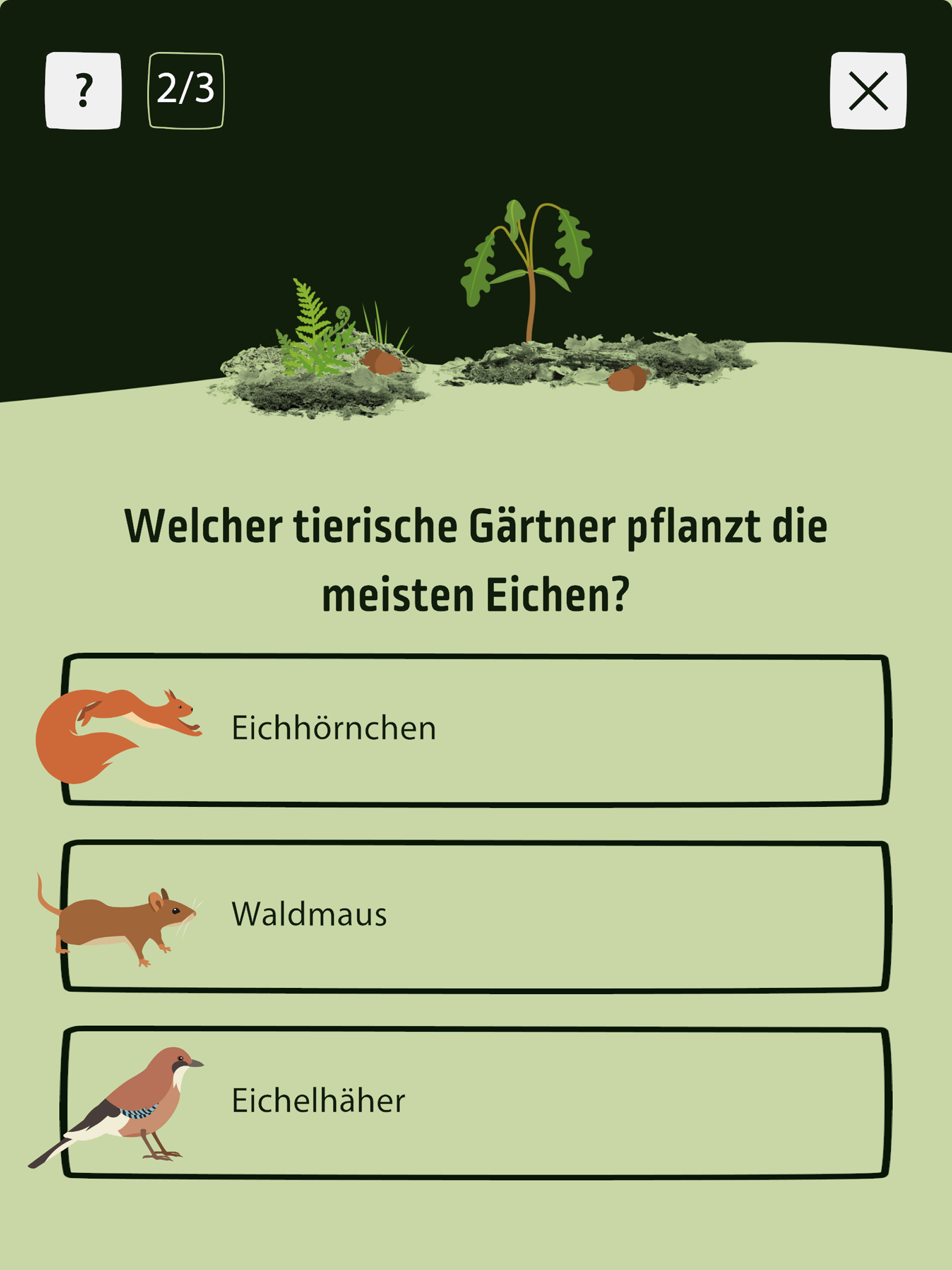 Wald-Zeit-Reise screenshot 6