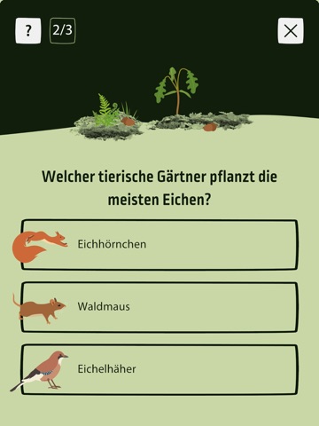 Wald-Zeit-Reise iPad screenshot
