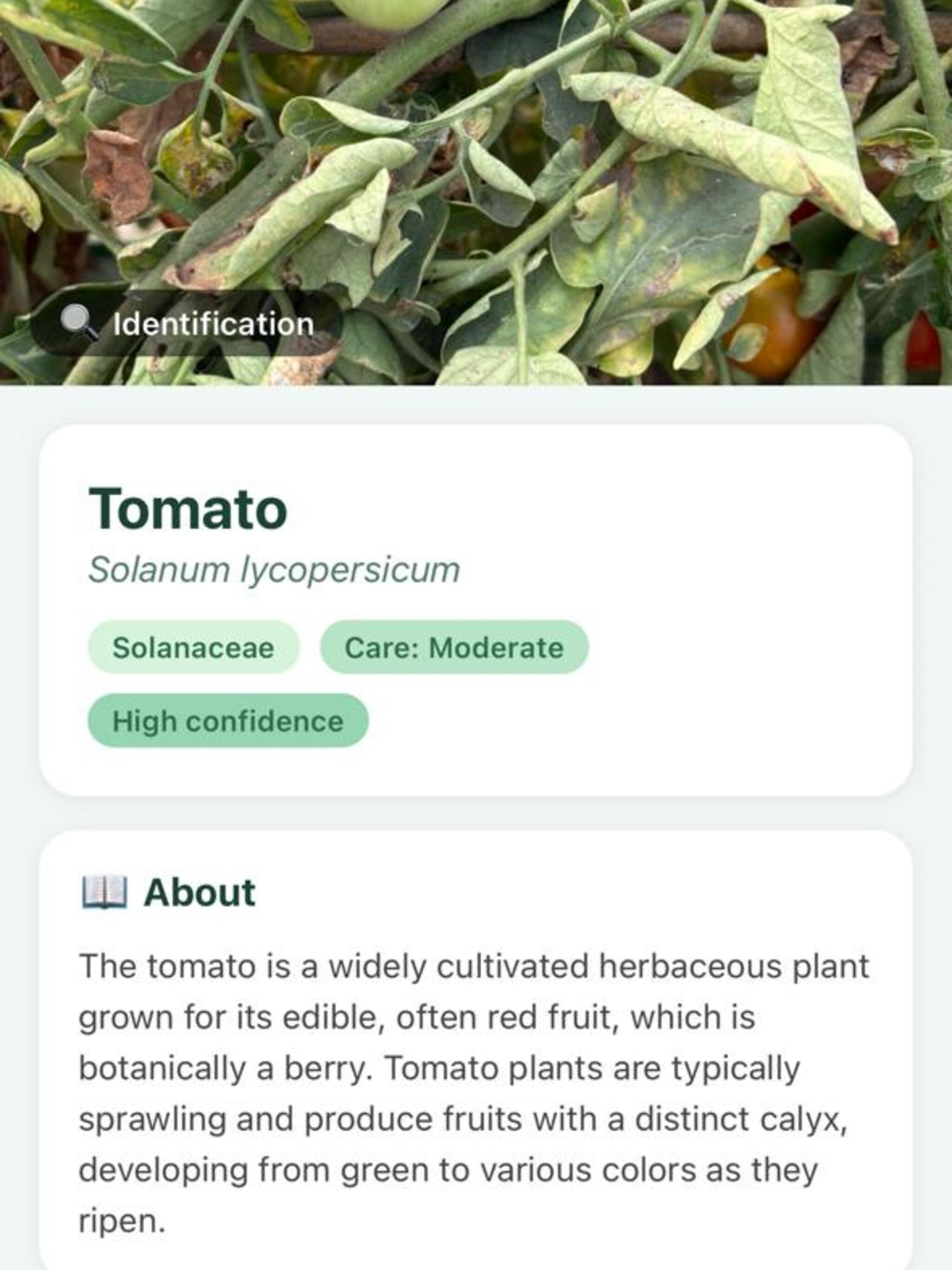 PlantZio Plant ID & Diagnosis screenshot 7