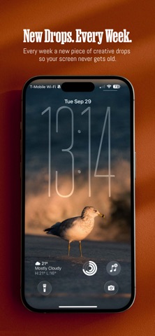Walldrop.co screenshot 2
