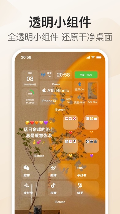 应用截图 9