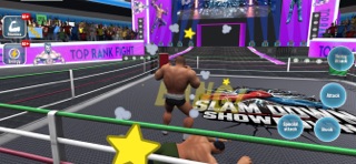 Ring Rage: Ultimate Clash Game screenshot
