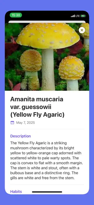 Picture Mushroom - Identifier screenshot 2
