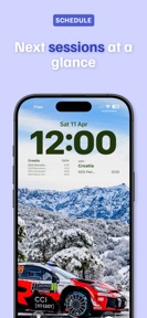 Motorsports Widgets screenshot