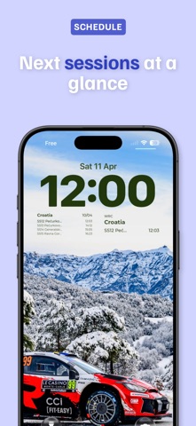 Motorsports Widgets screenshot