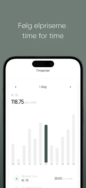 Dansk Energiforsyning screenshot 4