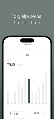 Dansk Energiforsyning screenshot