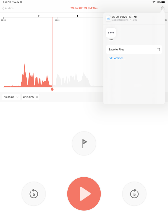 Recorder - Voice & Audio iPad screenshot 4 - Utilities app