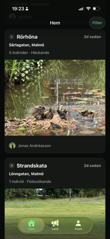 Markaryds Fågelklubb screenshot