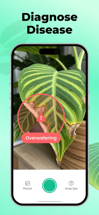 Plant Parent: Screenshot 1 von 8