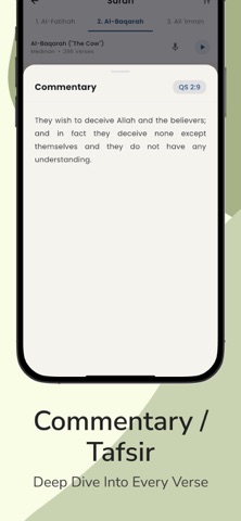 Al Quran: Sahih International iPhone screenshot