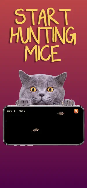 Cat Games screenshot 3