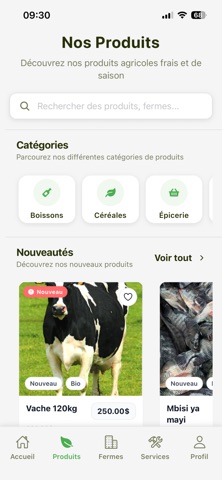 Dream Market screenshot