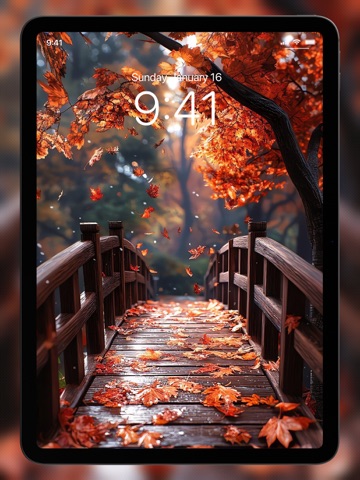 Stunning Wallpapers 4K | HD iPad screenshot