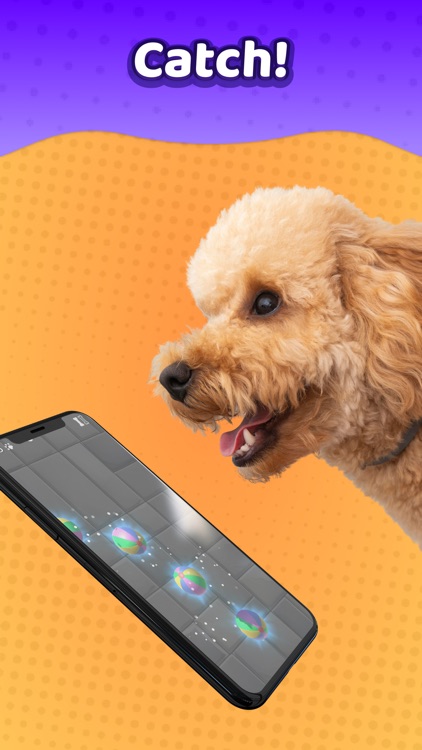 Laser Pointer － Games for Dogs screenshot-5