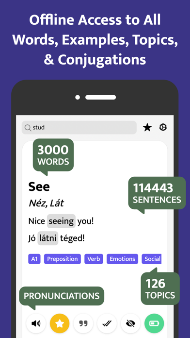 Most Common Hungarian Words Screenshot