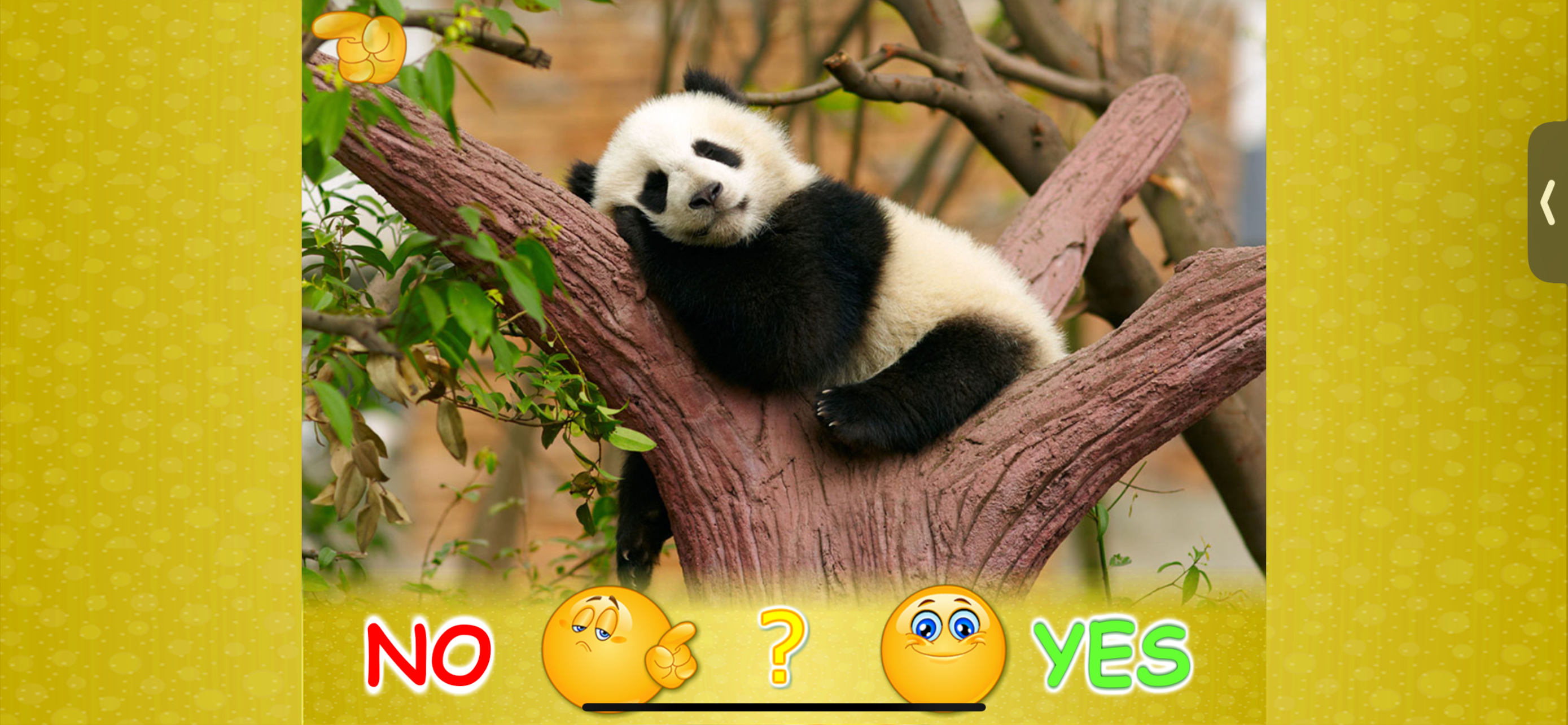 Animal picture games: for kids screenshot 7