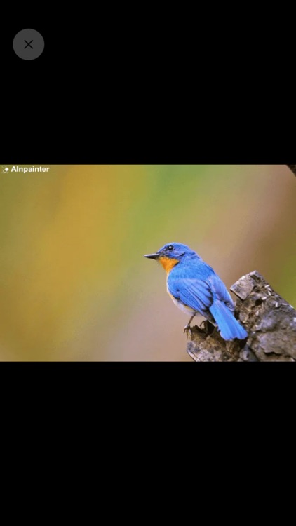 AInpainter - Remove objects screenshot-7