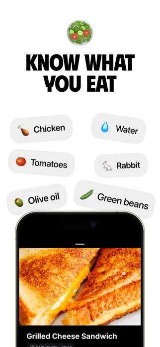 Aller AI - Allergy Tracker Screenshot 3 of 4