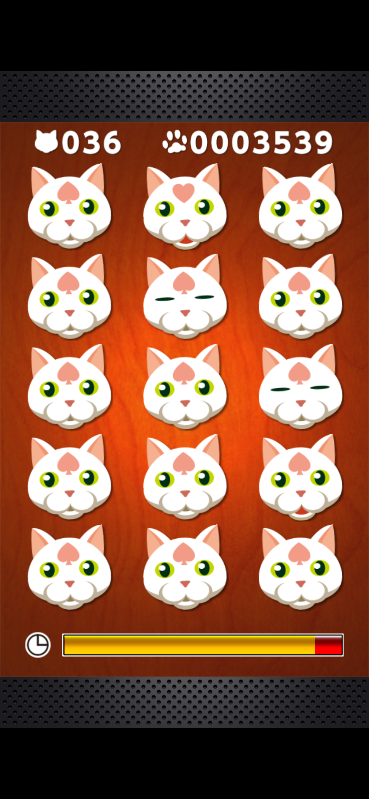 Odd Cat Out