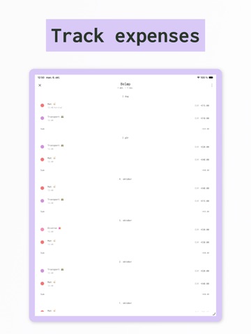Cashplan - plan ahead iPad screenshot