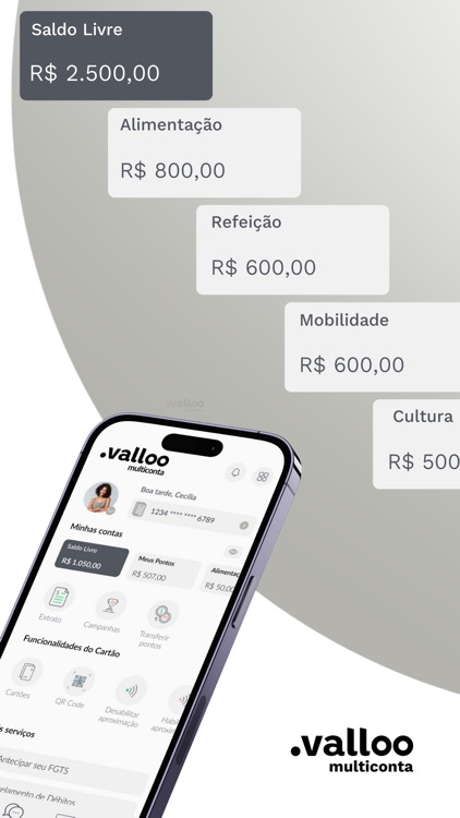 Valloo Multiconta screenshot-3