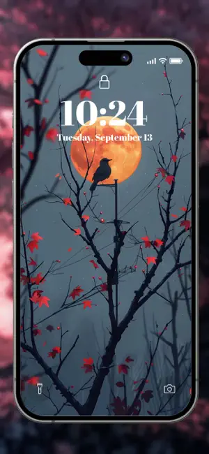 Day & Night Wallpaper screenshot 3