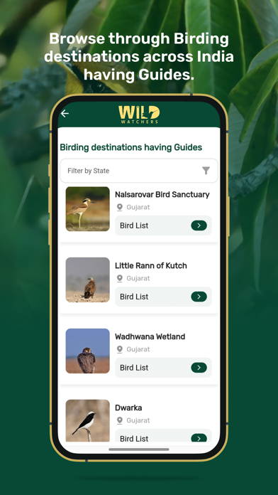 WildWatchers Screenshot