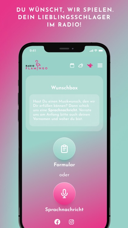 Radio Flamingo screenshot-3