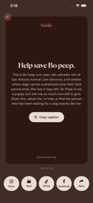 Sadie: Save Shelter Dogs screenshot