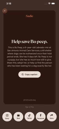 Sadie: Save Shelter Dogs screenshot 5