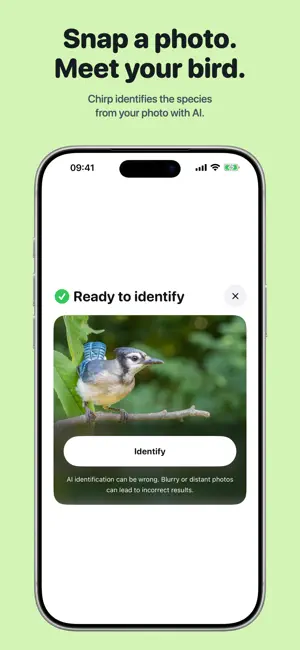 Chirp Widget screenshot 2