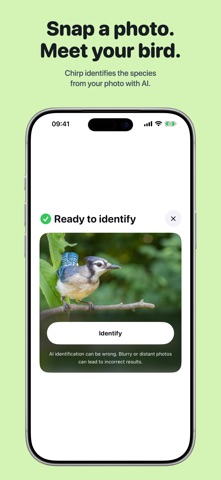 Chirp Widget Screenshot 2 of 5