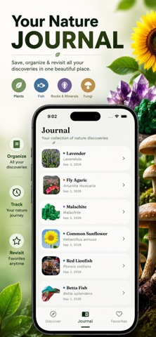 Curio: Nature Identifier screenshot 5