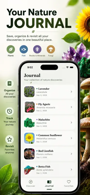 Curio: Nature Identifier screenshot 5 of 5