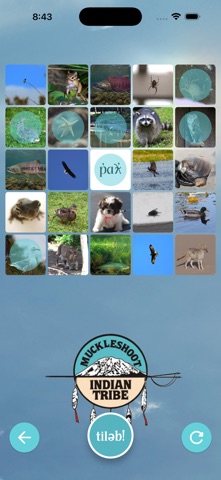 Muckleshoot Bingo screenshot 1