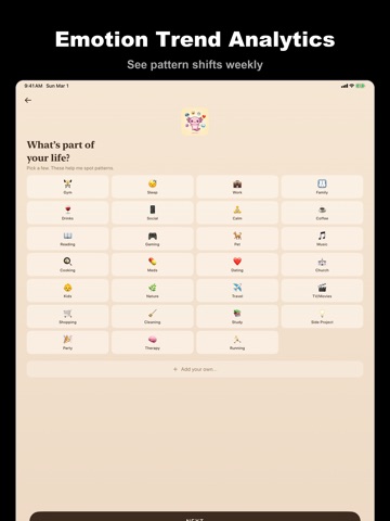 Journally AI Diary Journal iPad screenshot