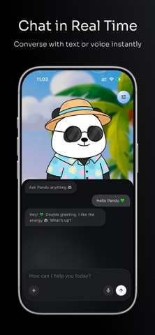 Pandu AI Screenshot 2 of 3