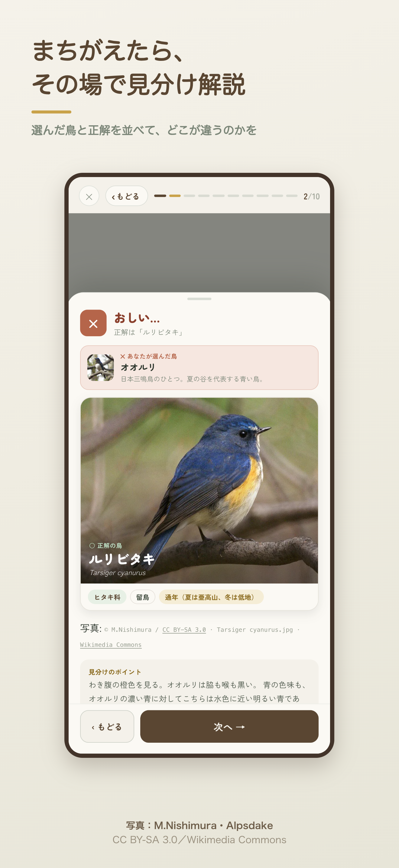 山の鳥名人 野鳥の名前がわかる図鑑クイズ screenshot 3