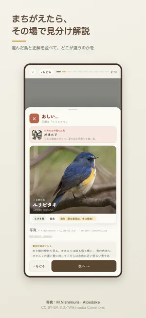 山の鳥名人 野鳥の名前がわかる図鑑クイズ screenshot 3