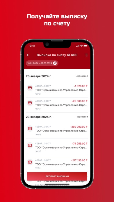 KZI Business Screenshot