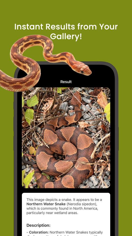 #3. Snake ID - reptile identifier (iOS) 来自: Pibardos LLC