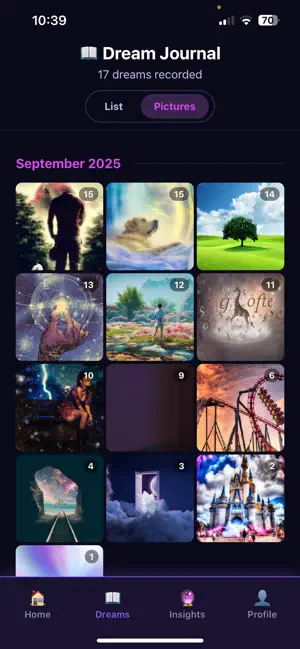 Dream Capture* screenshot 3