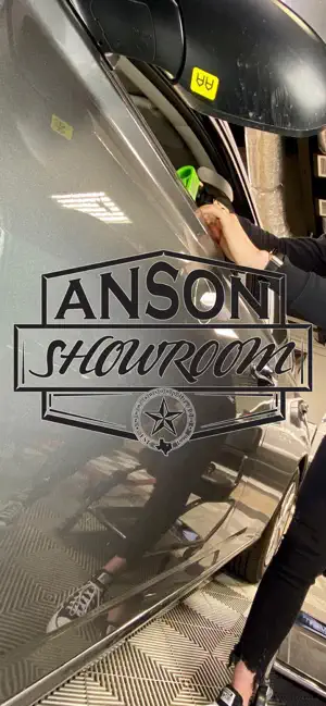 Anson PDR screenshot 1