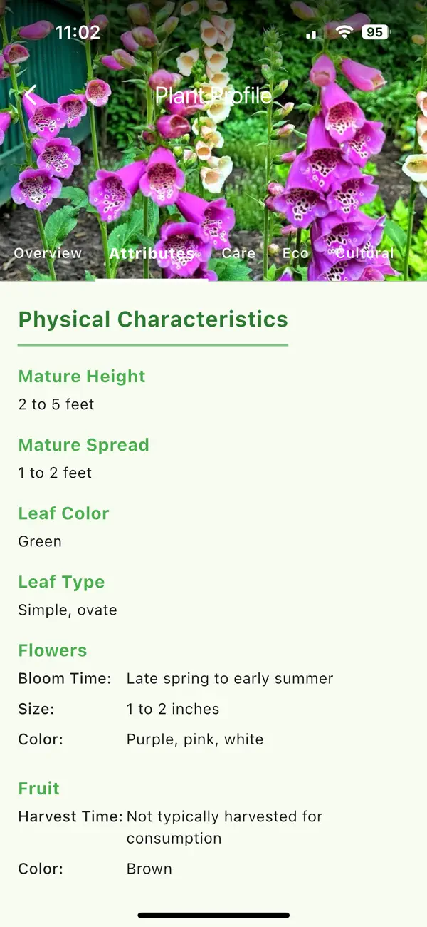 #6. FloraFinds (iOS) Göre: Trilogy Labs