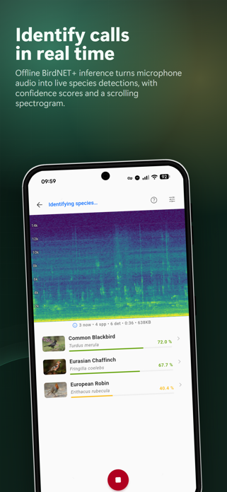 BirdNET Live Screenshot 2 of 6