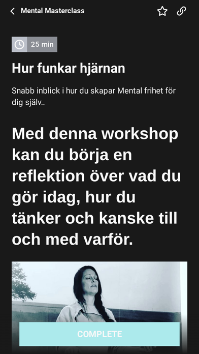 Screenshot #3 pour Falkflow