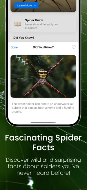 Spider Identifier - by picture screenshot 4